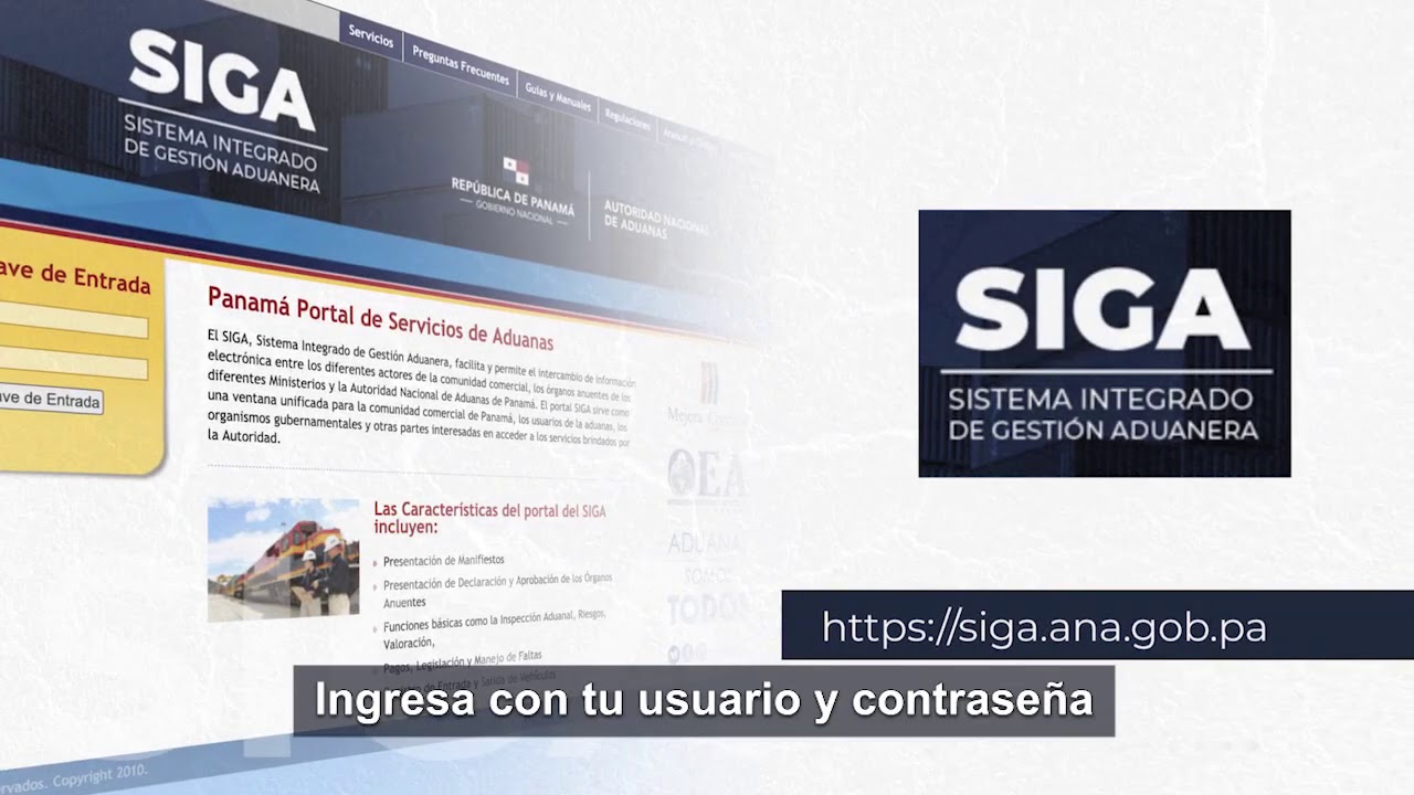 Pasos para la pre declaración de incisos arancelarios digitalizados.