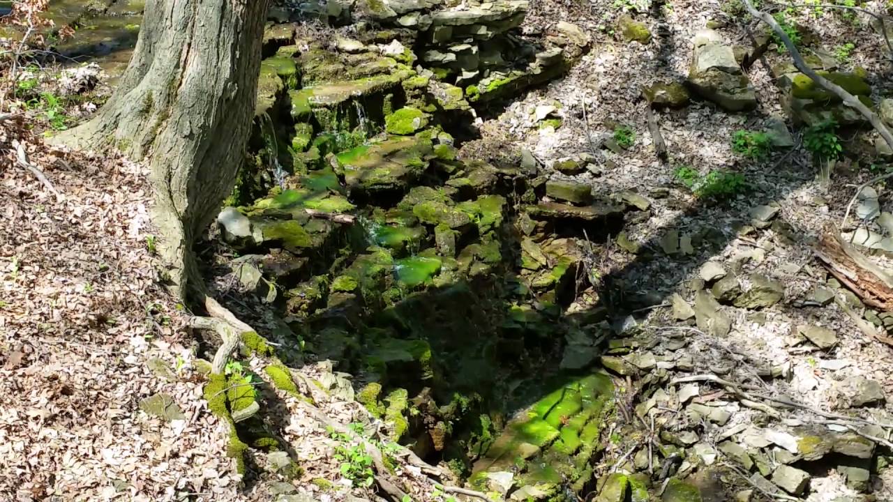 Griffin Falls, Hamilton, Ontario, Canada.