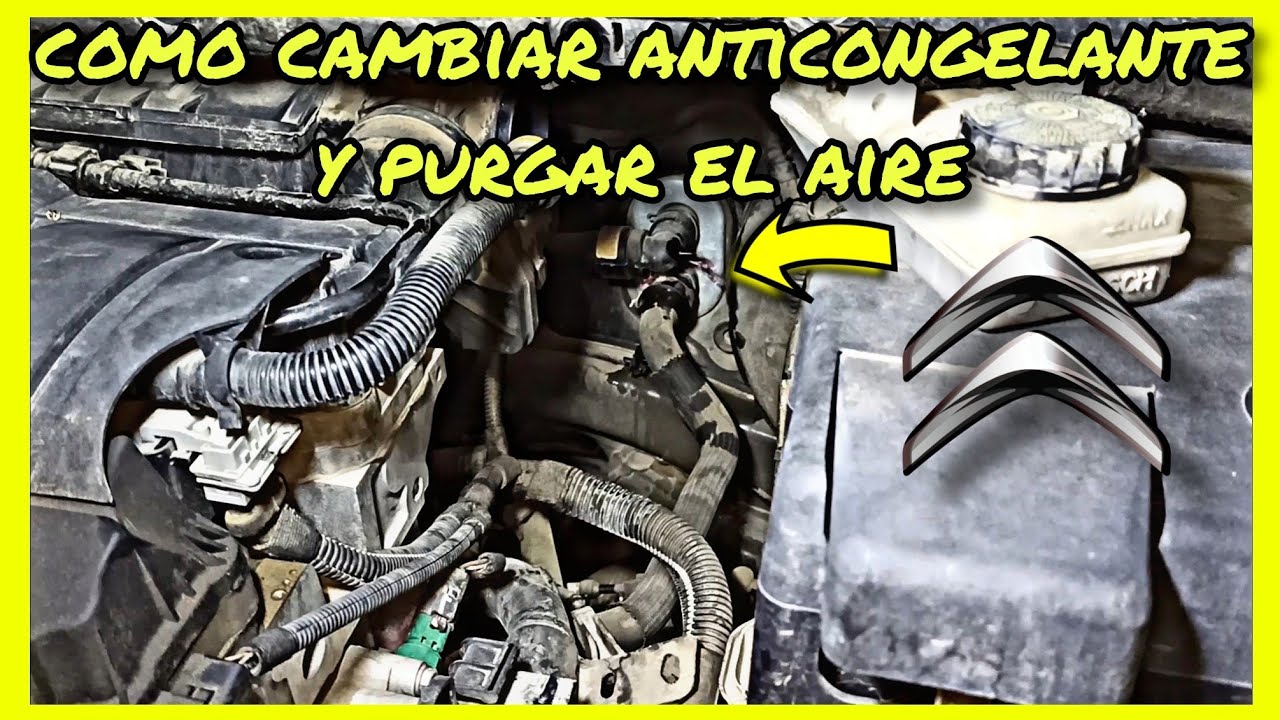 Como CAMBIAR y PURGAR  ANTICONGELANTE citroen C4