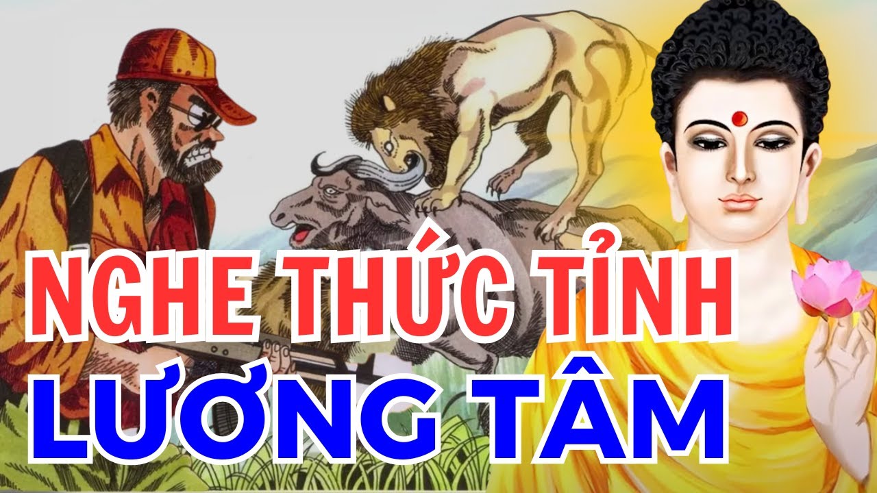 NGHE THỨC TỈNH LƯƠNG TÂM, 7 Chuyện Nhân Quả Phật Giáo 2025 Hay Nhất | Kể Chuyện Đêm Khuya Rất Hay