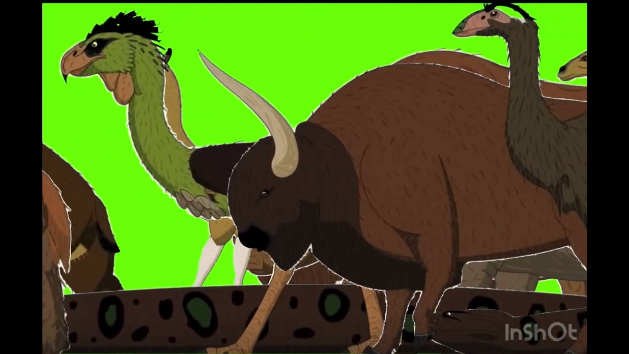 Animals size comparison 