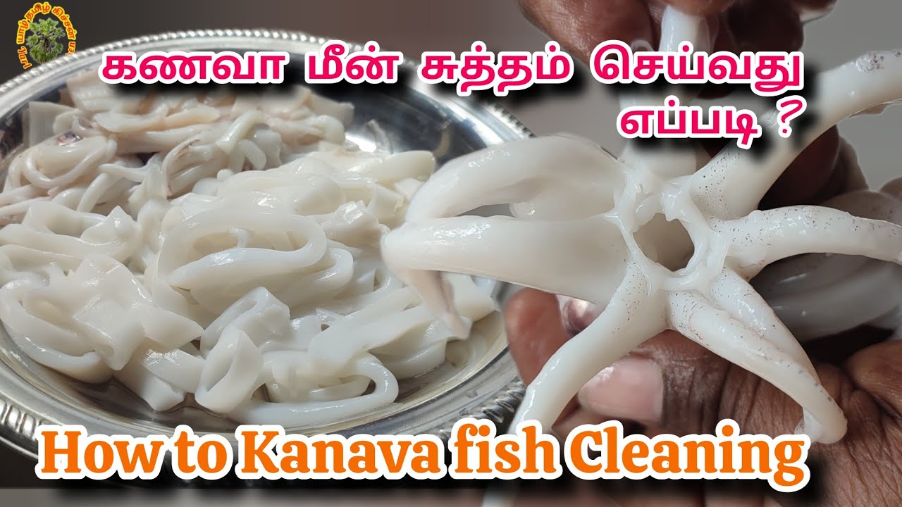 கணவா மீன் சுத்தம் செய்வது எப்படி? / Kanava Fish cleaning in Tamil / Squid Cleaning / Ikan Sotong