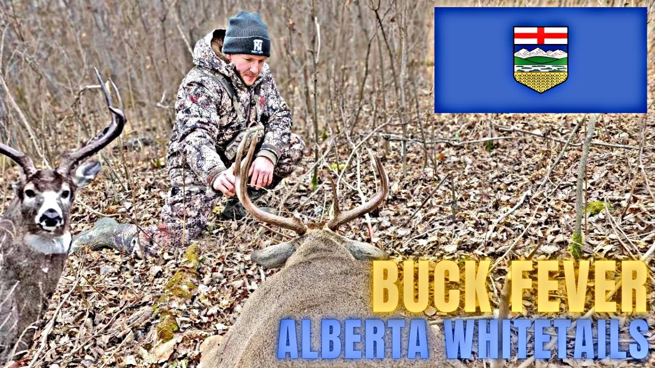 Up Close & Personal with Rutting Buck! | Alberta Whitetail Hunt