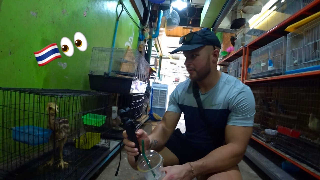 illegal animal market in Thailand 🇹🇭ep6