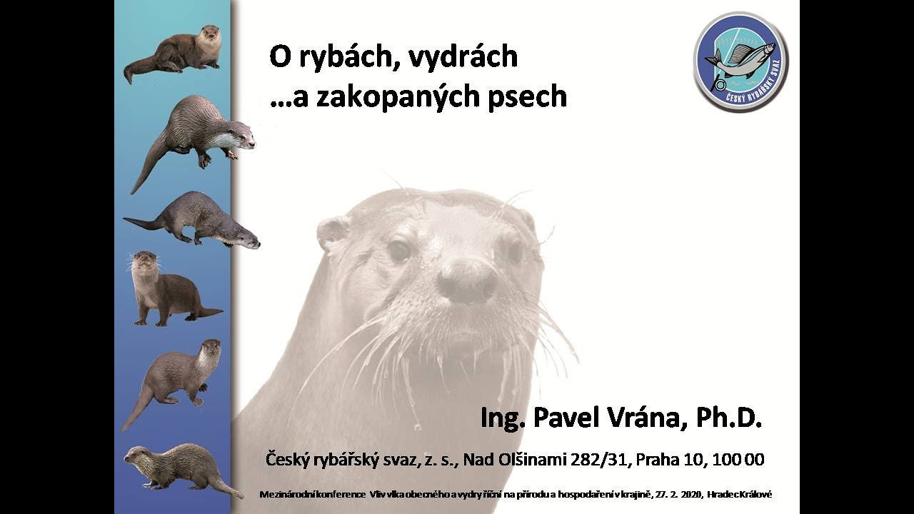 Konference Vlk a vydra: přednáška Pavla Vrány