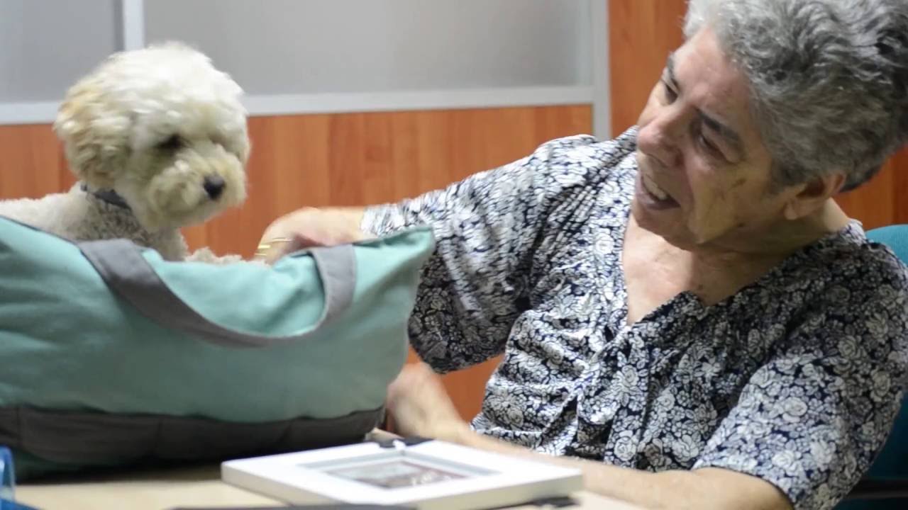 Terapia asistida con perros para las emociones (Parkinson Valencia & Fundación Acavall)