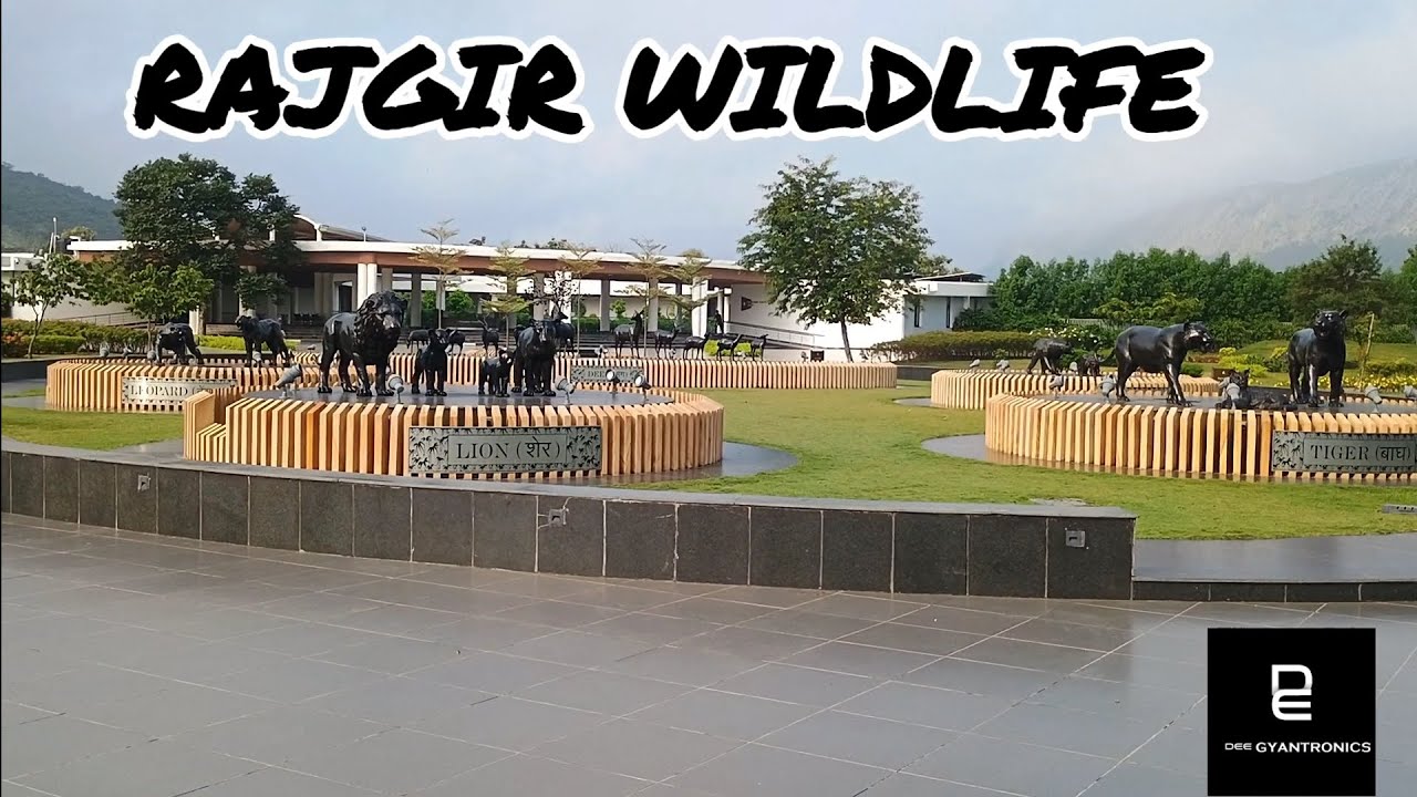 #RAJGIR WILDLIFE SANCTUARY, ZOO SAFARI, SHANTI STUPA, GHORA KHATORA