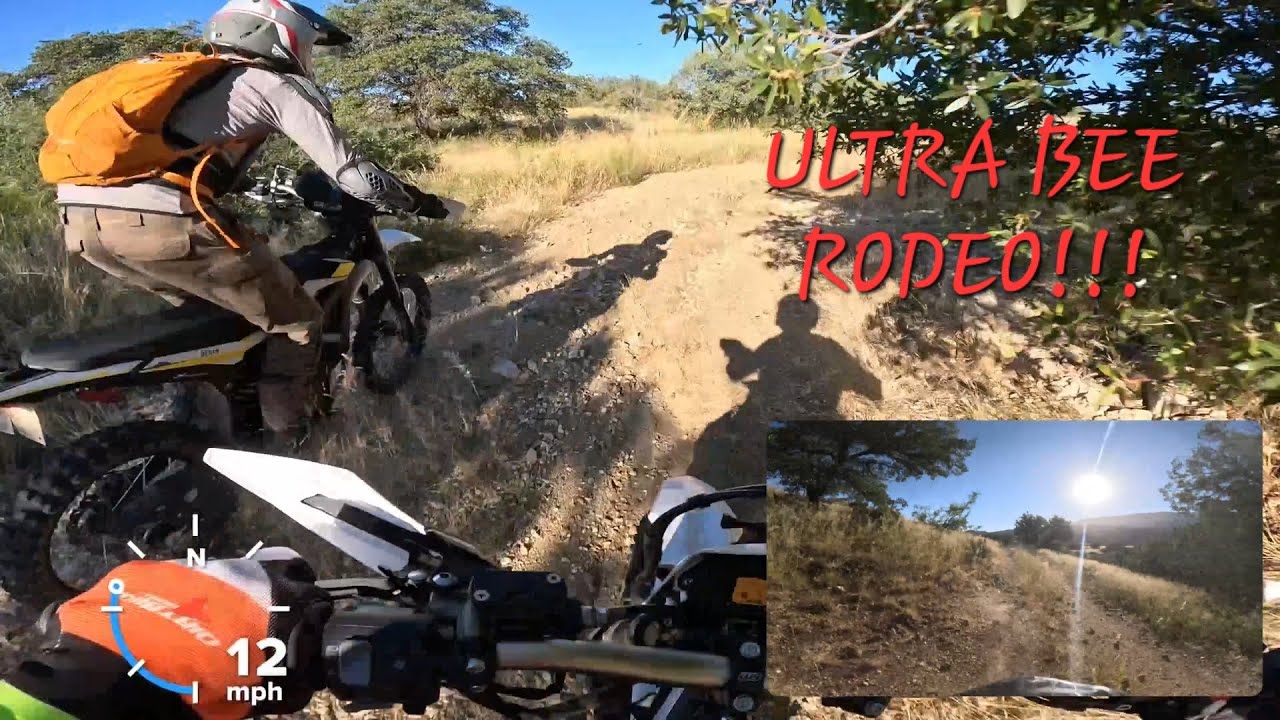 ULTRA BEE RODEO! // Rocky Sonoran Desert