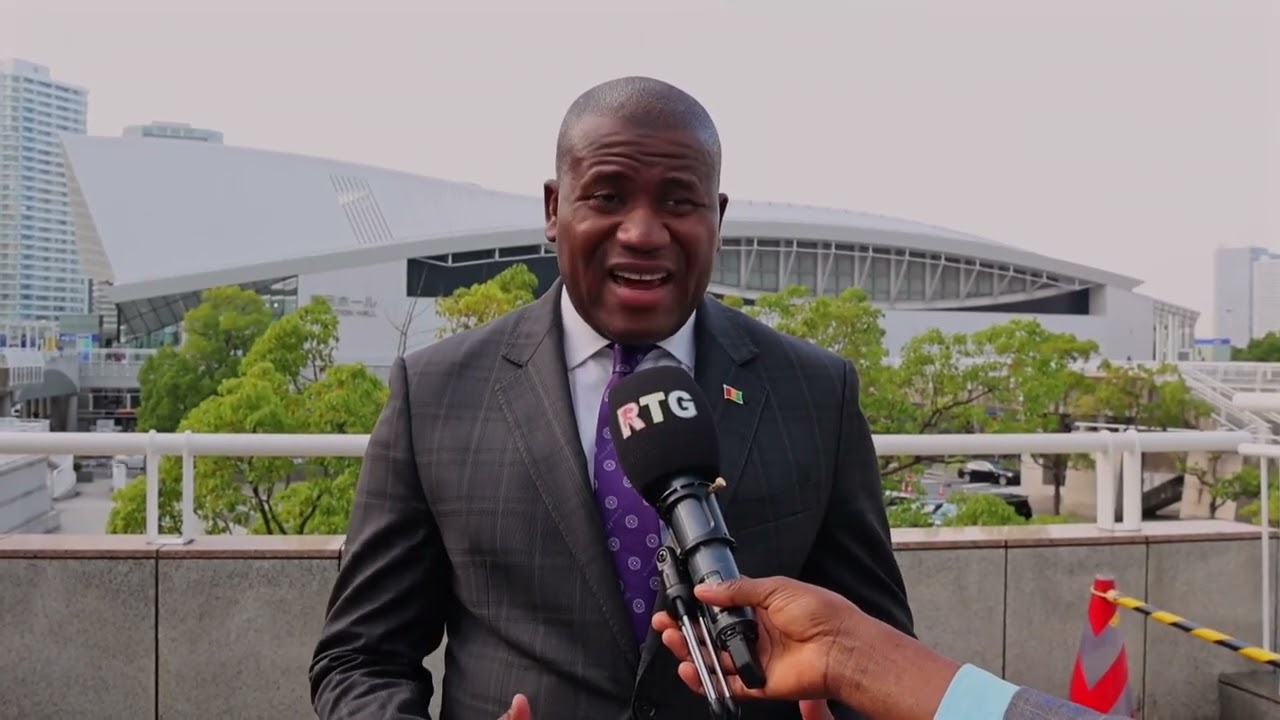 Guinée-Japon: Simandou 2040 et Développement Durable