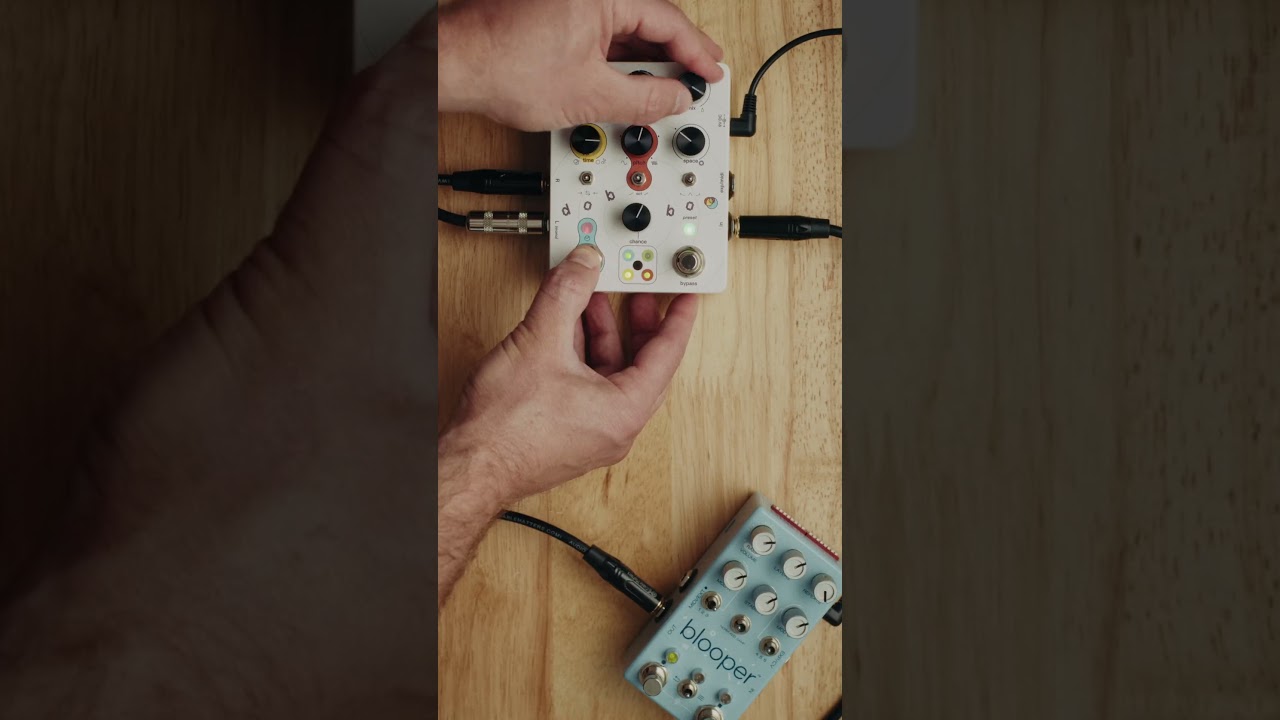 Dobbo, by Butterfly Effects. Beautiful pedal #synth #electronicmusic #sounddesign #musicproduction