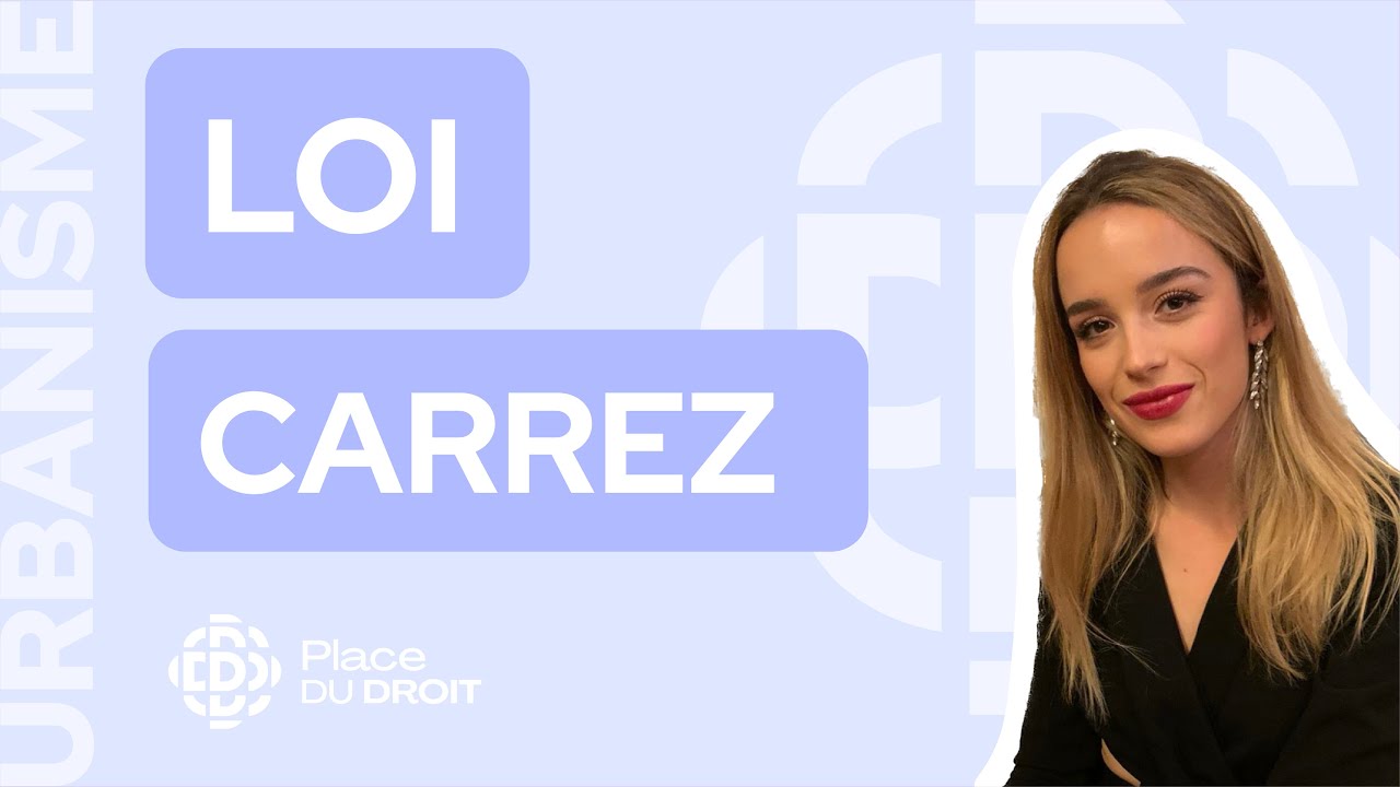 Le guide complet sur la LOI CARREZ ! 🏠