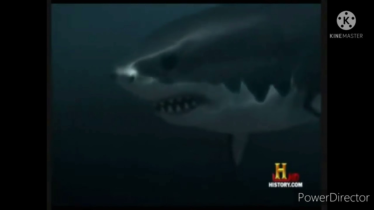 Megalodon tribute