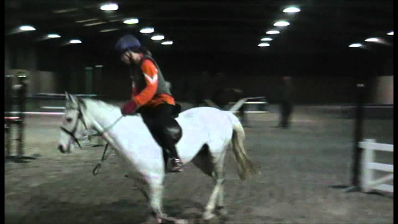 Cristoline carousel various activities