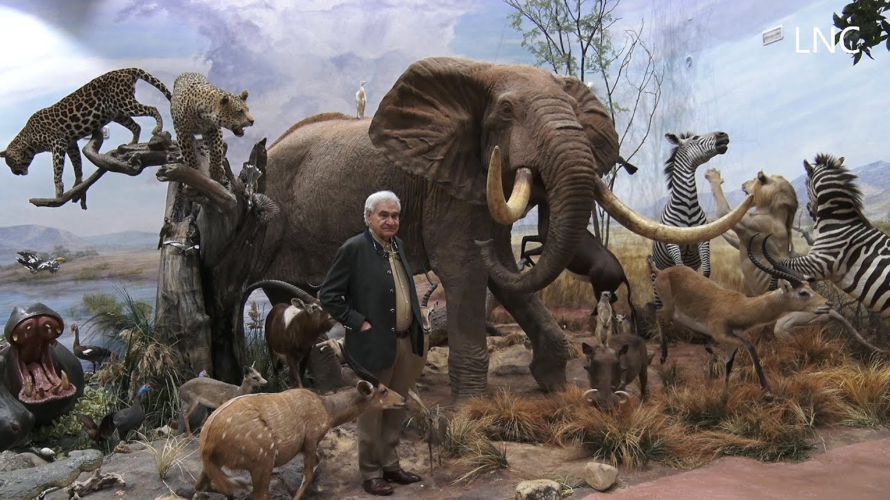 El Museo de la Fauna Salvaje celebra su 20 aniversario
