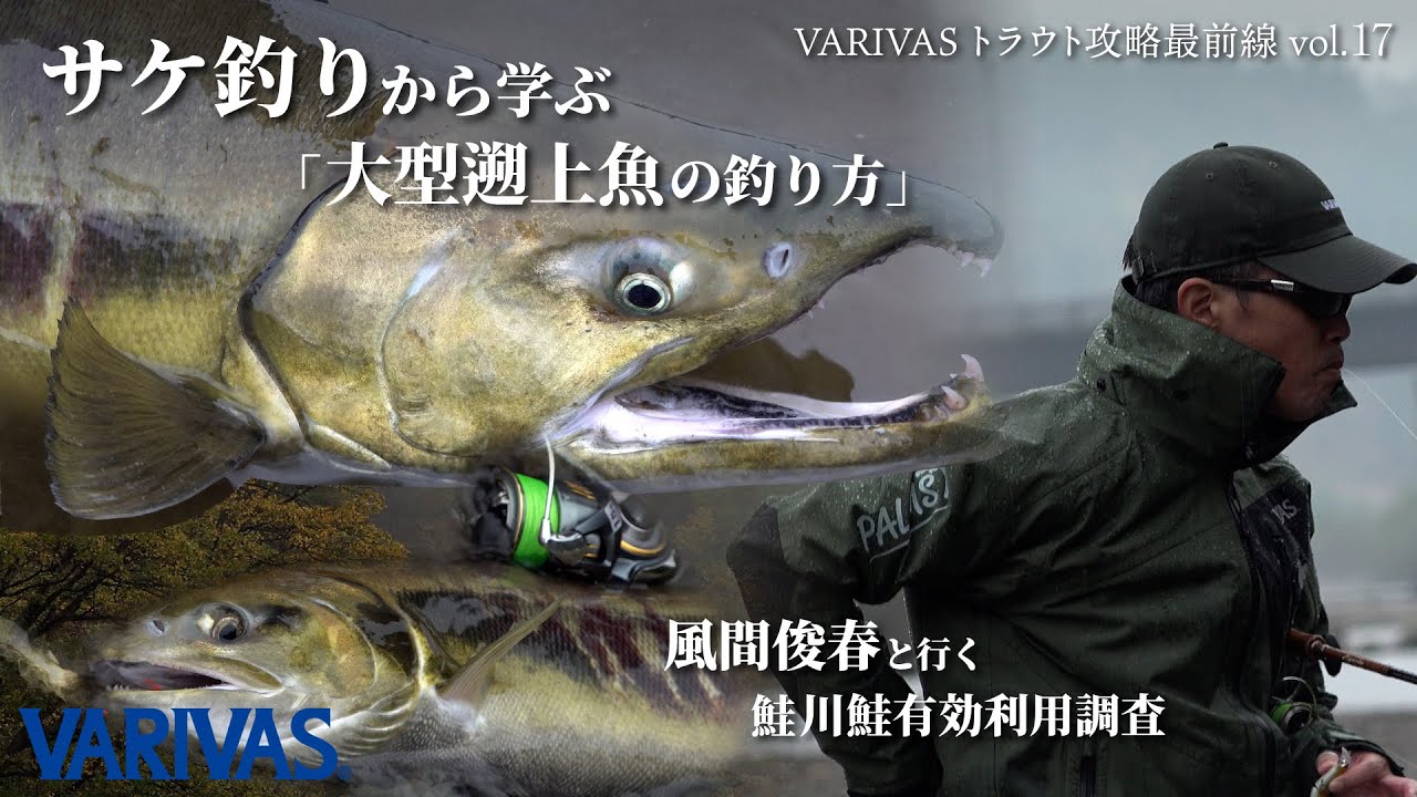 サケ釣りから学ぶ「大型遡上魚の釣り方」風間俊春と行く鮭川鮭有効利用調査【VARIVASトラウト攻略最前線vol.17】