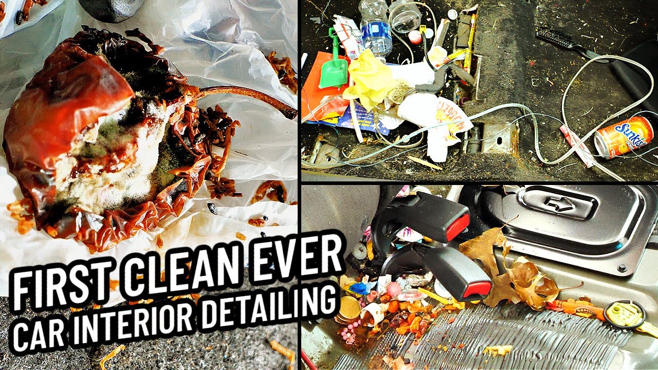 Потрошение противных курильщиков Ford Fusion Interior - Disaster Car Detailing Transformation