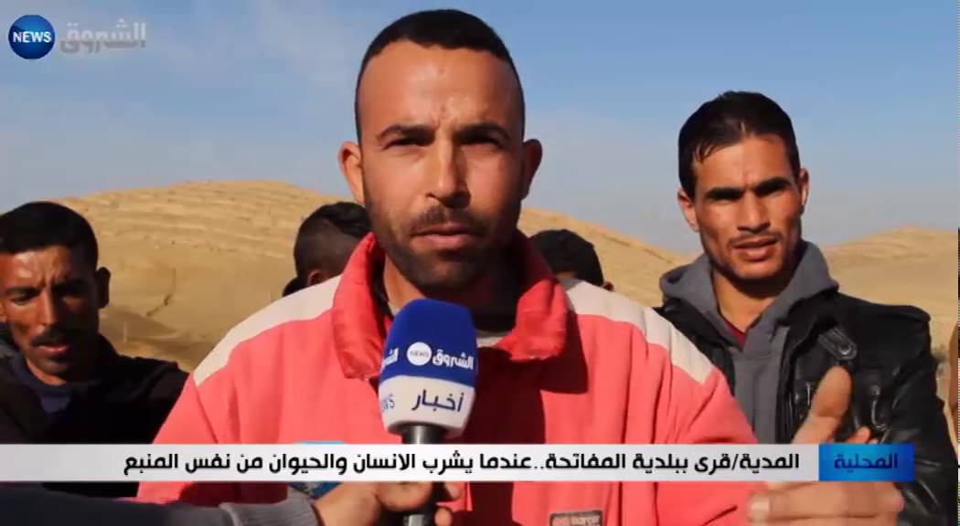 المدية: قرى ببلدية المفاتحة.. عندما يشرب الانسان والحيوان من نفس المنبع