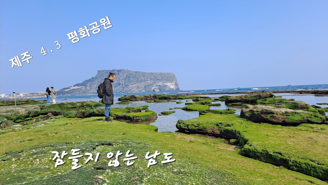 잠들지 않는 남도