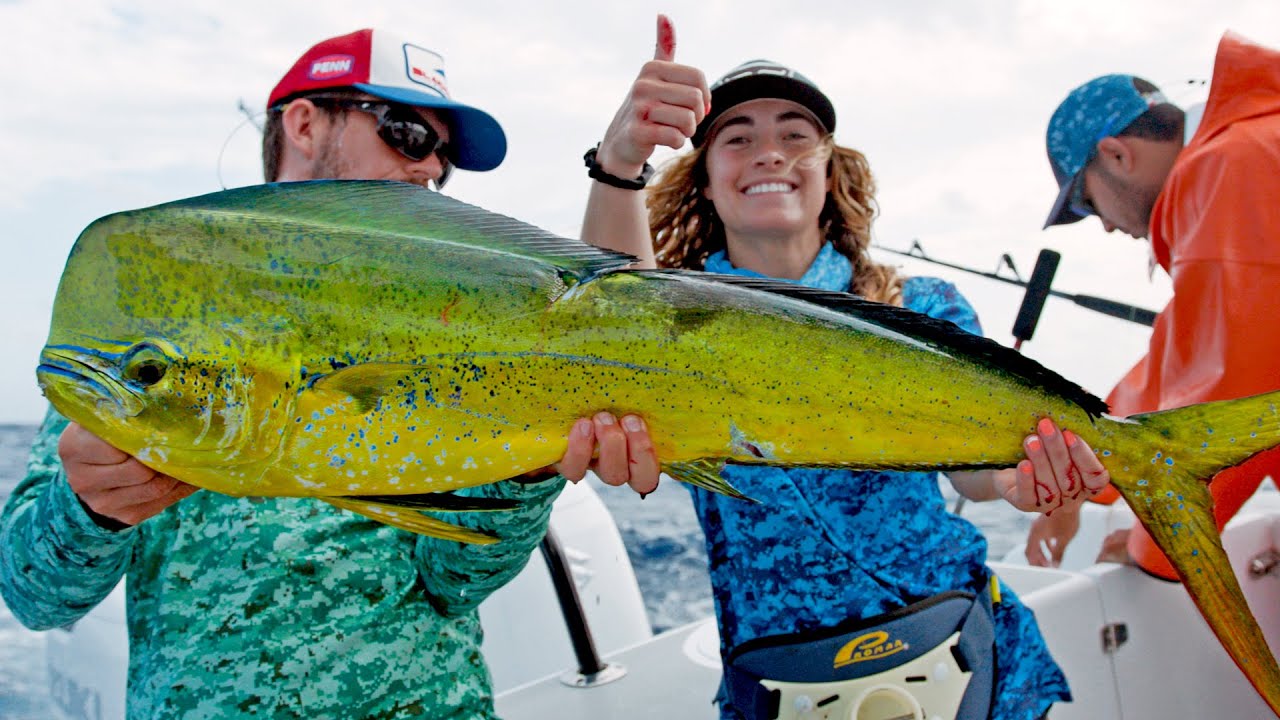 Fishing in BELIZE!! Dolphin, Barracuda, Kingfish, and more!!