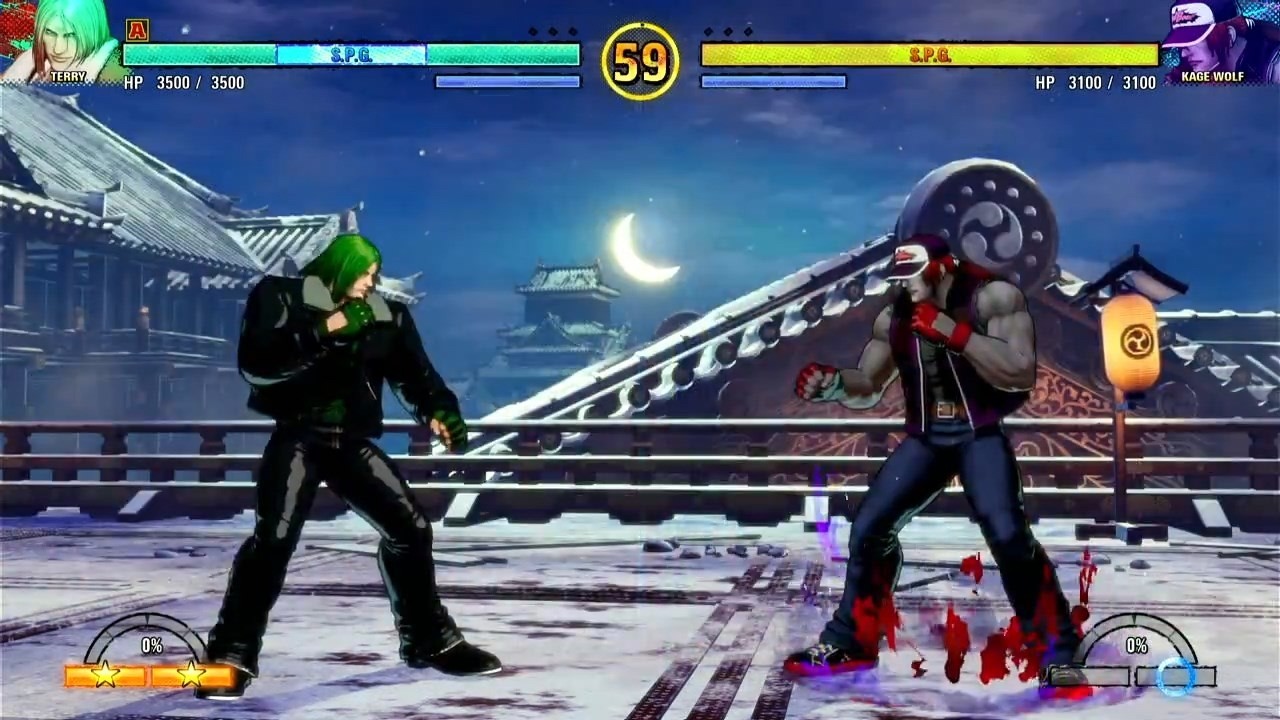 TERRY VS KAGE WOLF - FATAL FURY COTW