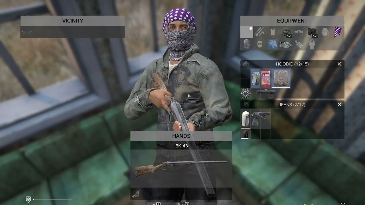 DayZ