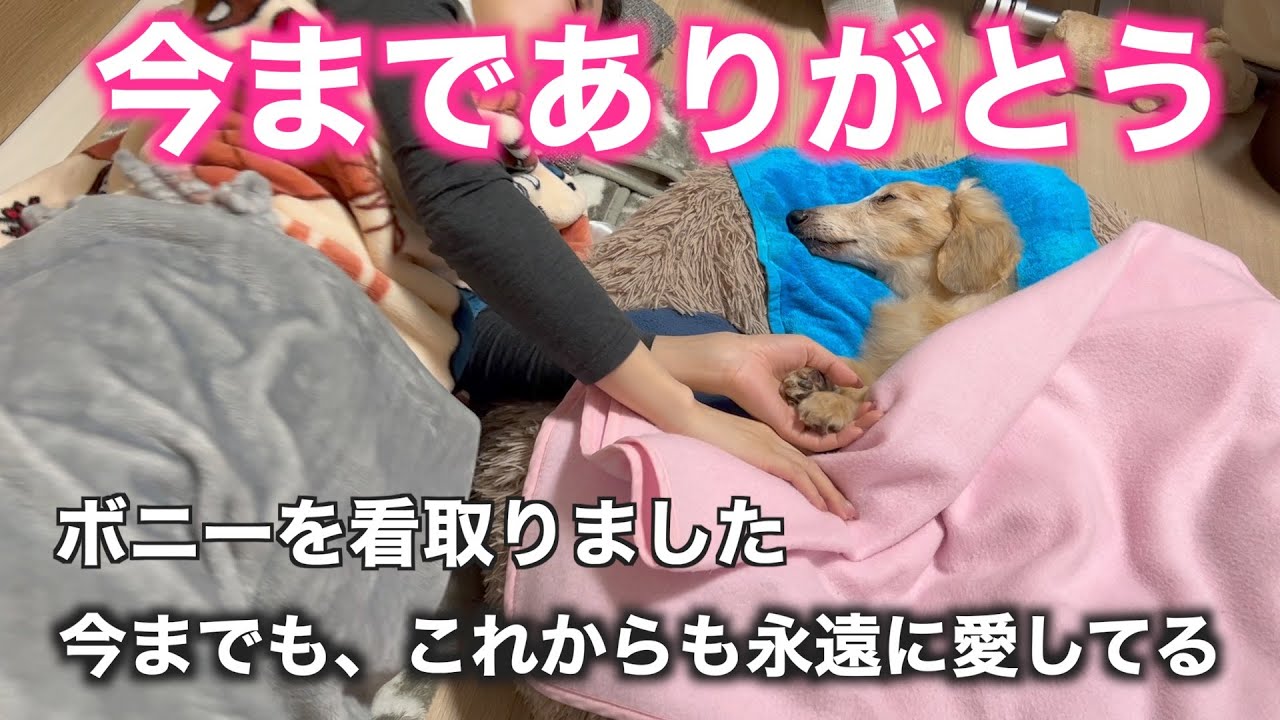 【閲覧注意】最後の最後まで⑦家族思いの優しい弟、大好きだよ。