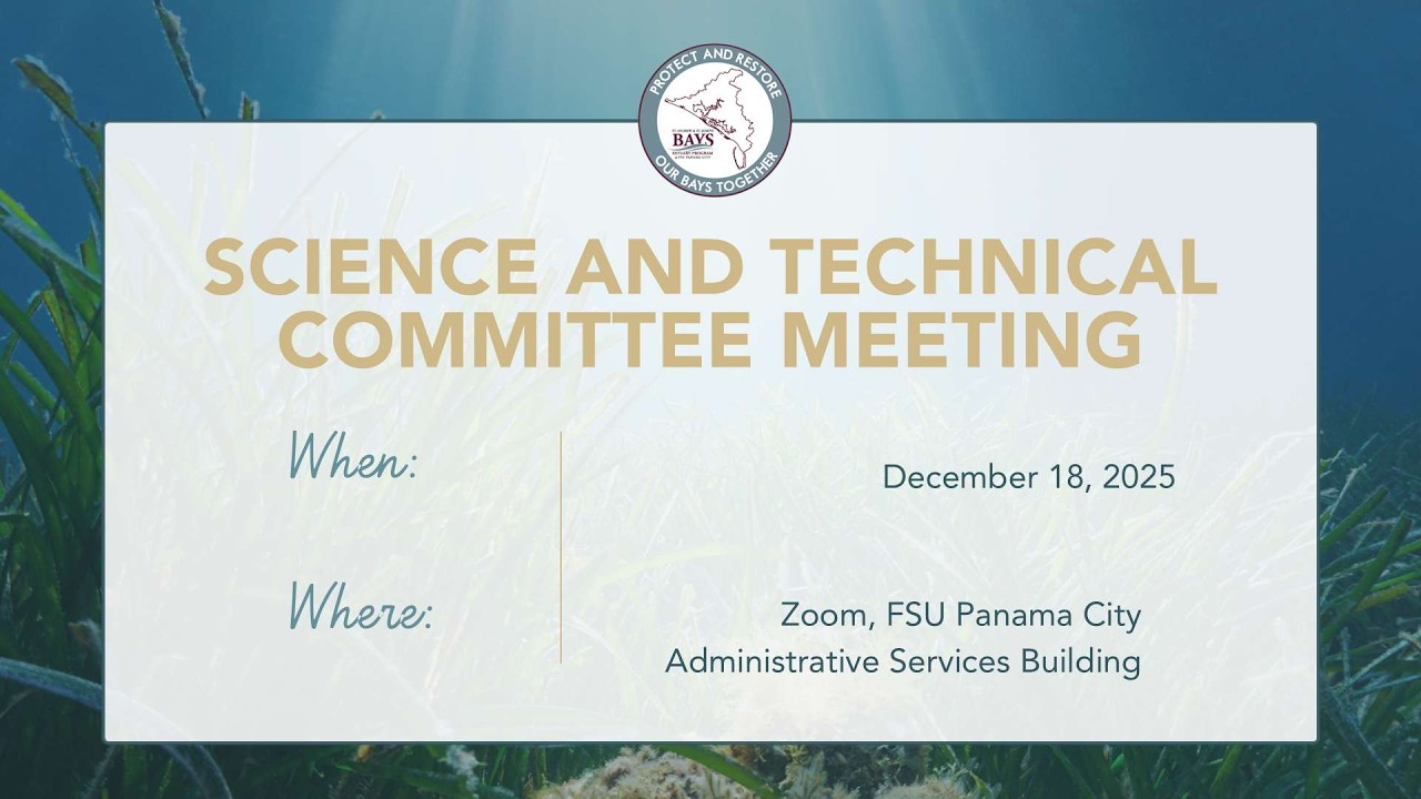 Science and Technical Committee Meeting-12.18.2025