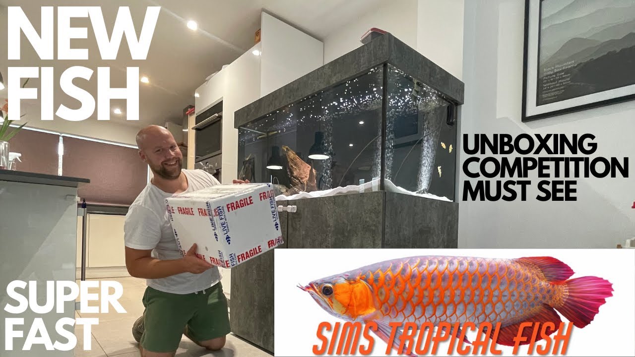 UNBOXING NEW FISH FROM SIMS TROPICAL FISH WHAT DID I GET??? PLUS UNBOXING COMPETITION