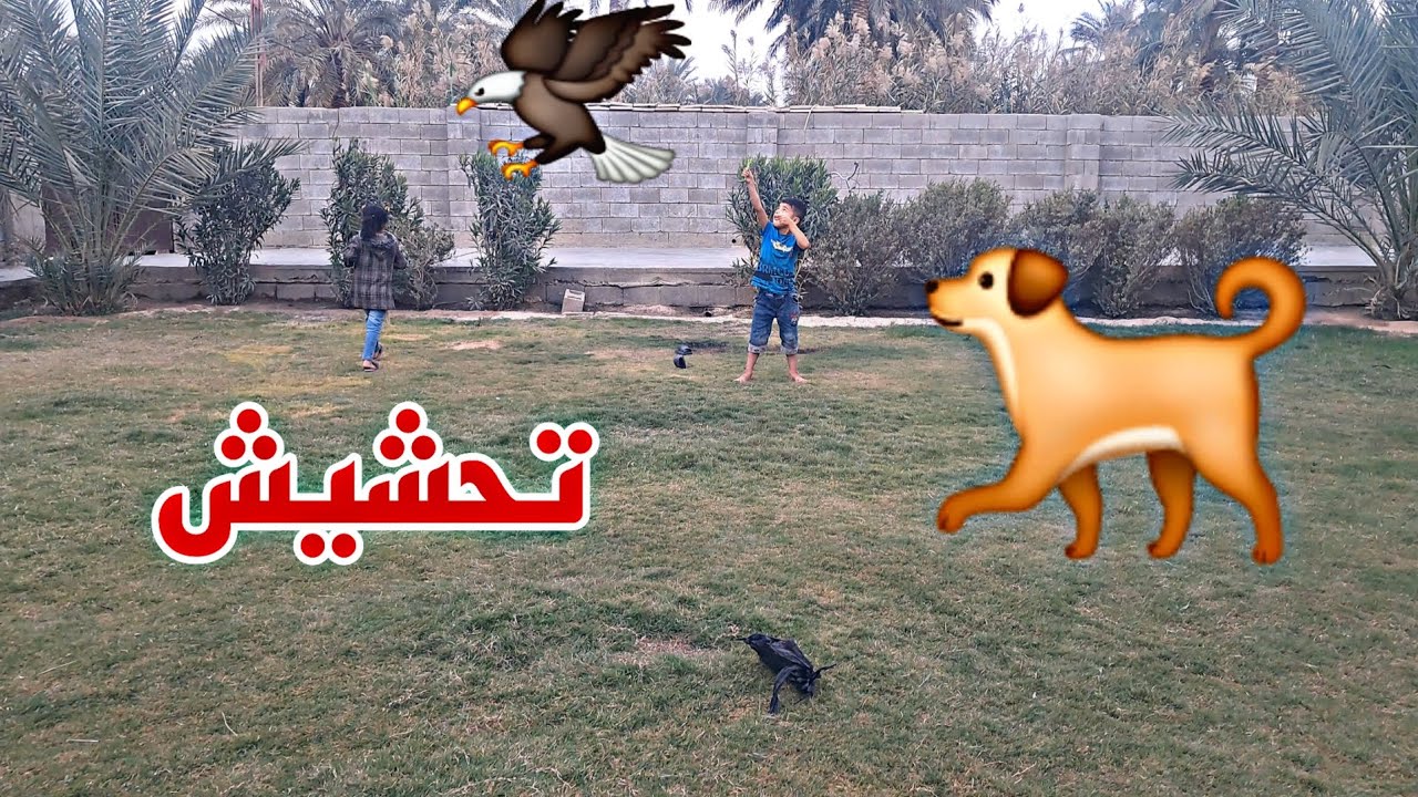 تحشيش مهدي مايعرف يصيد😁