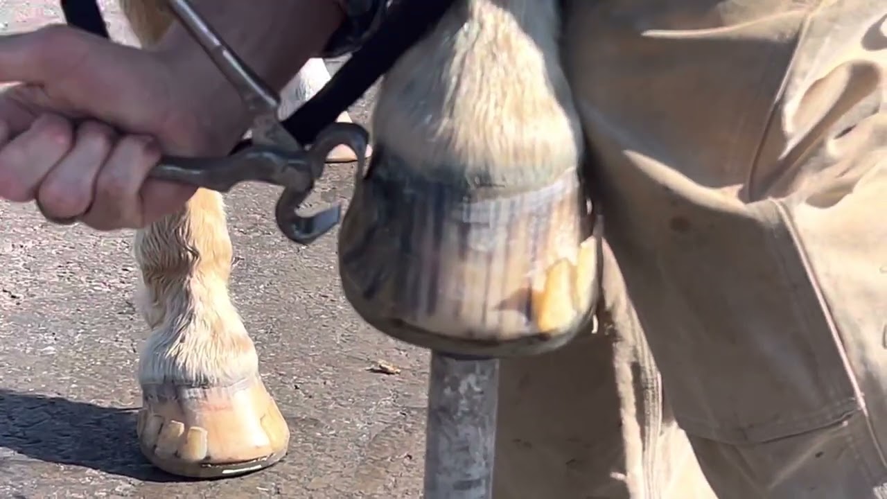 Removing Versa Octo's for the third time and getting ready for reset #4.