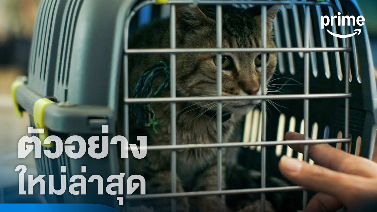 Apocalypse Z - ตัวอย่างอย่างเป็นทางการ [พากย์ไทย] | Prime Thailand