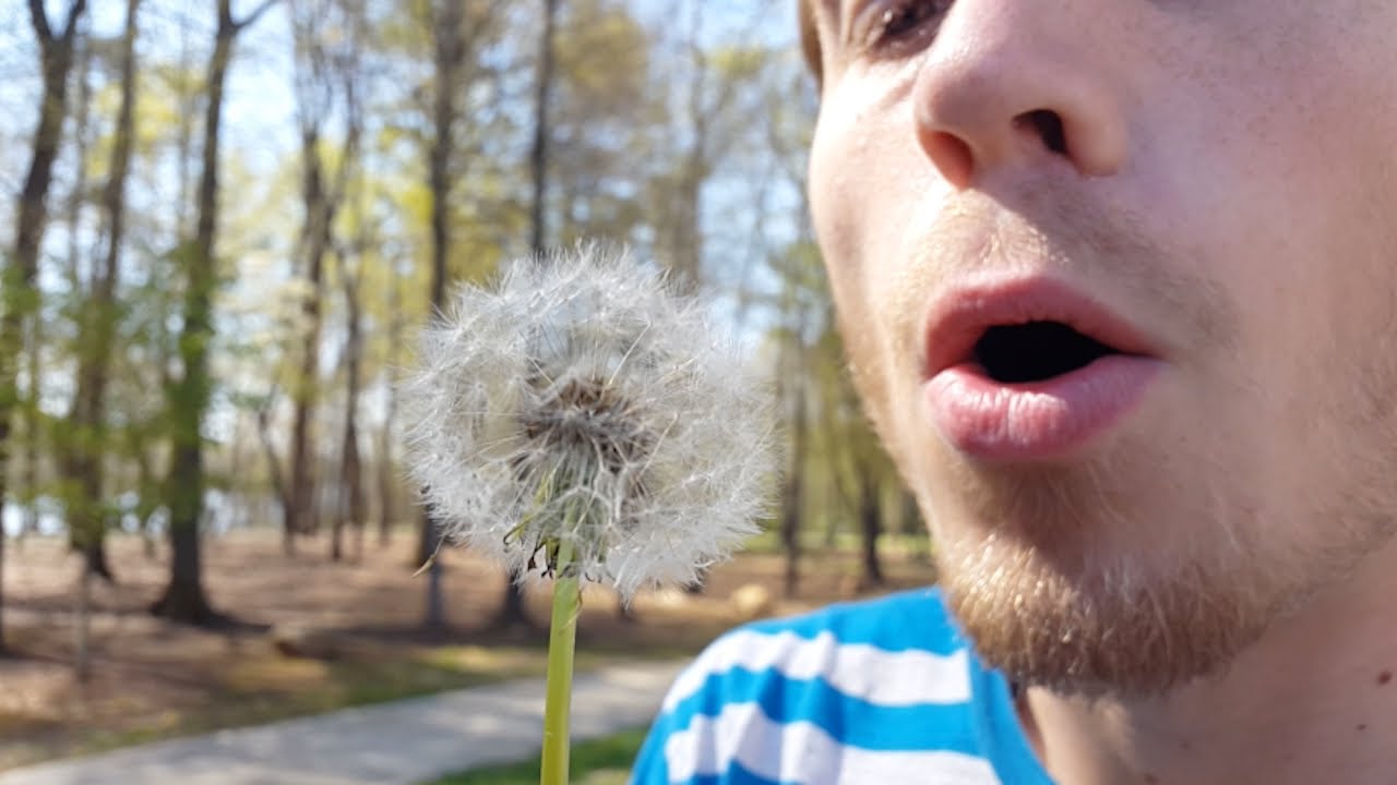 Galaxy S5 - 4K Video Camera Test