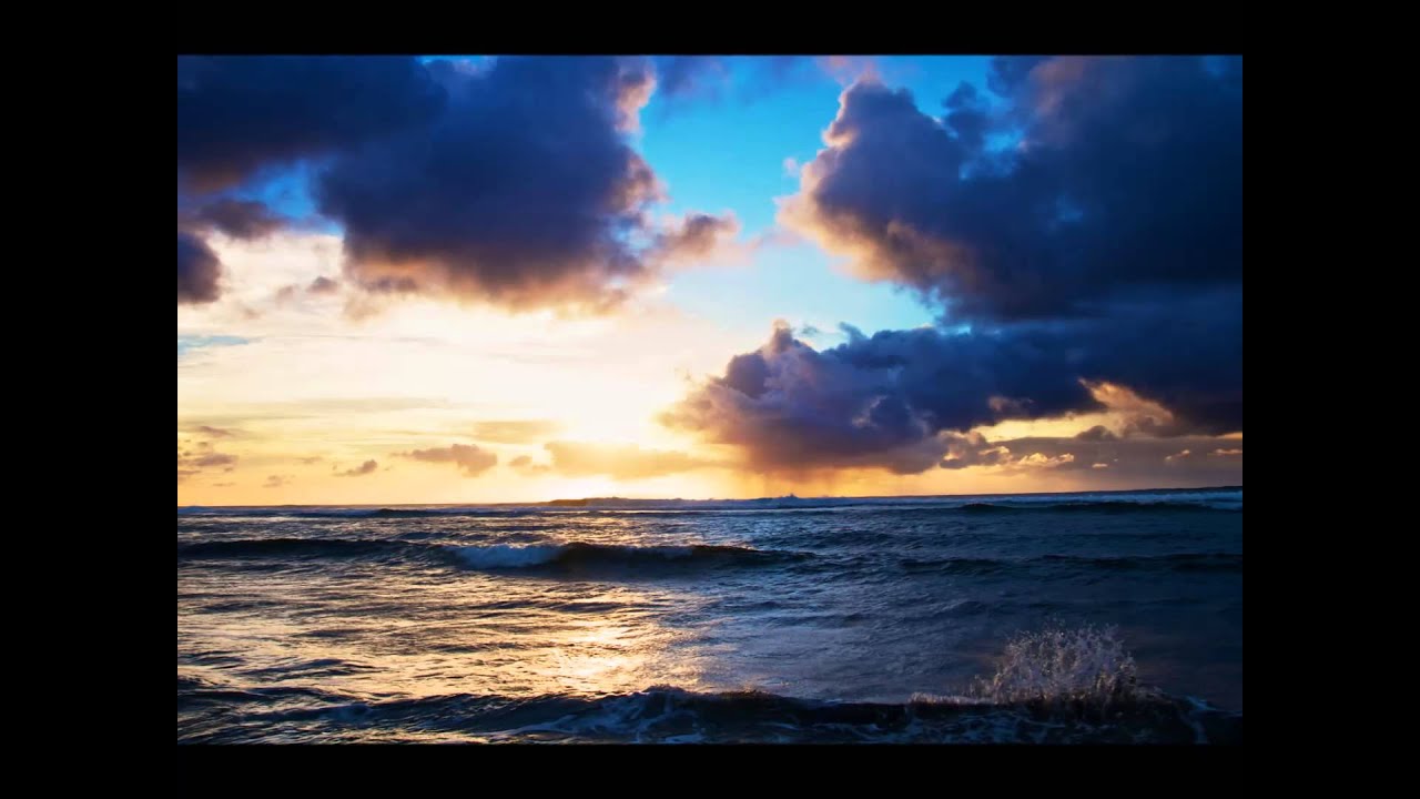 Poetry of the sea : Pearly Shells