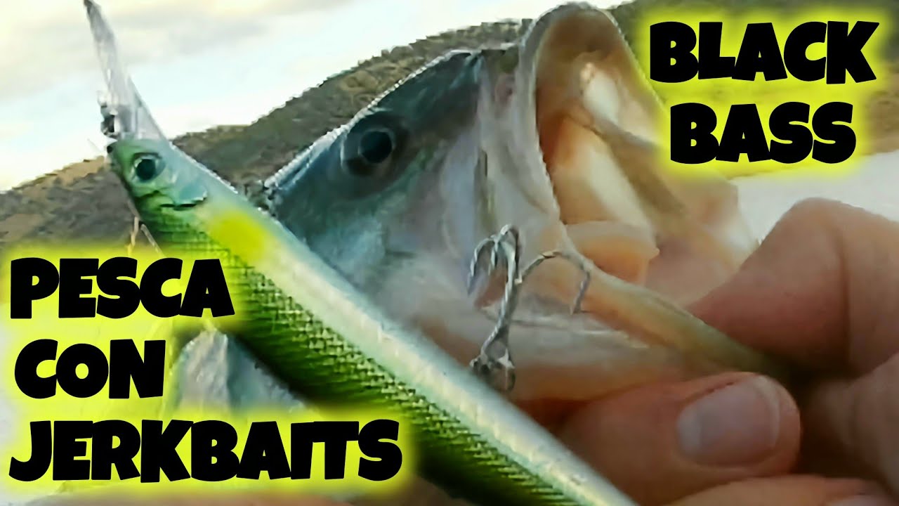 РЫБАЛКА НА ЧЕРНОГО ОКУНЯ С ПОМОЩЬЮ ЖЕСТКИХ ДЖЕРКБЕЙТОВ В ГУАДАЛЬМЕНА СПИННИНГ С БЕРЕГА