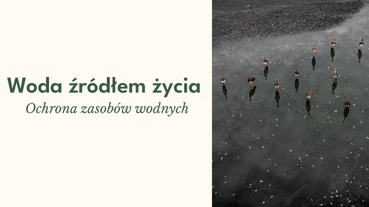 Woda źródłem życia – ochrona zasobów wodnych