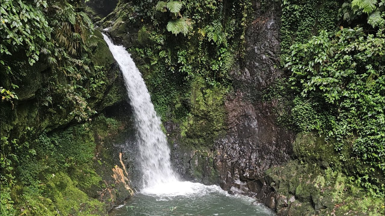Mini Vlog Jalan-jalan ke Villa Saung Benteng, Curug Goa Lumut, Gunung Halimun, Kabupaten Bogor