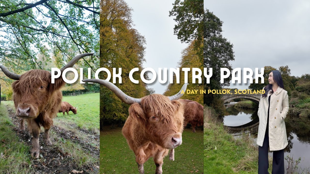 Pollok country park vlog 🌿 | scottish cows, wrong train adventure & picnic with friends 🍱✨