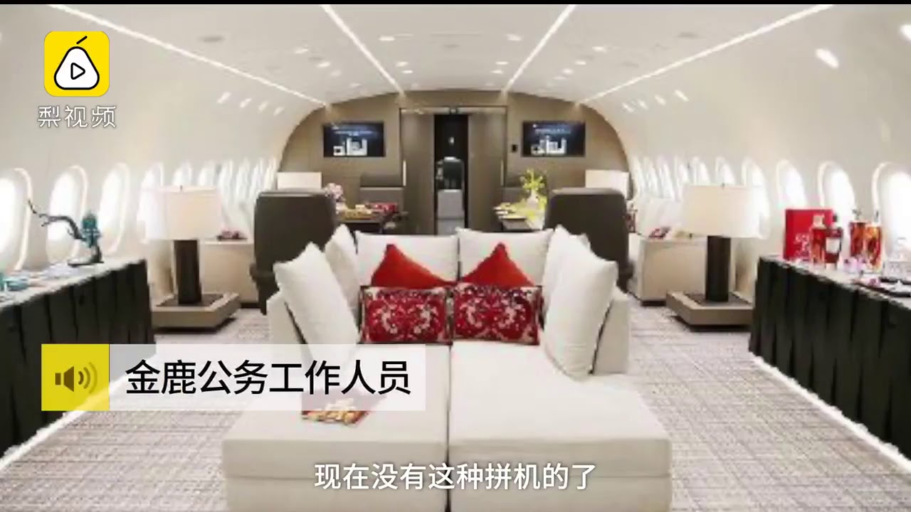 航空行业人士解读包机回国：10多万票价不算贵？！