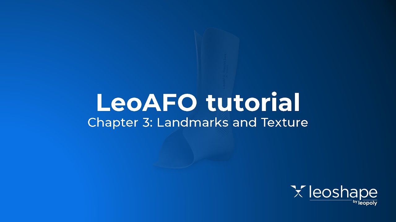 LeoAFO Tutorial  Chapter 3: Landmarks and Texture