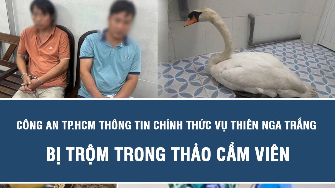 Công an TP.HCM thông tin chính thức vụ thiên nga trắng bị trộm trong Thảo Cầm Viên