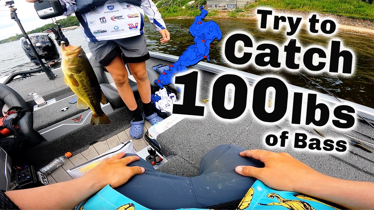 Попытаемся поймать 100 фунтов окуня на озере Галл! (Приз за рыбалку 13 000 долларов)