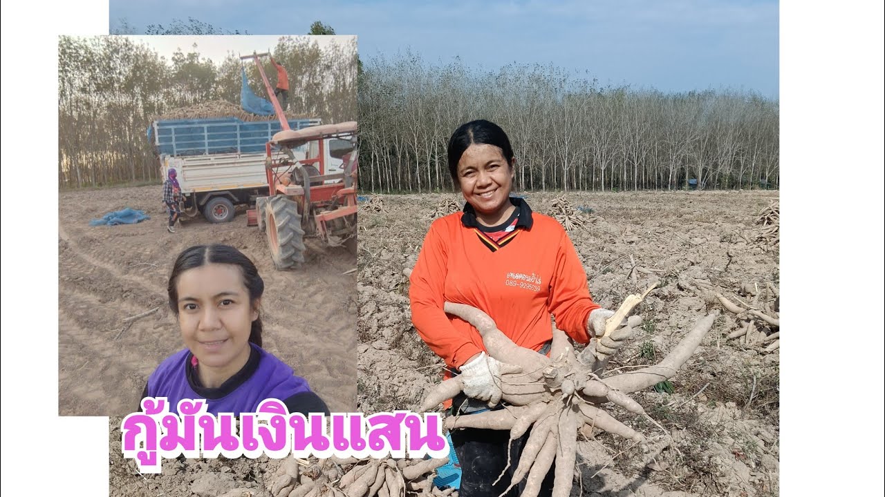 กู้มันเงินแสน #กู้มัน Ep70 