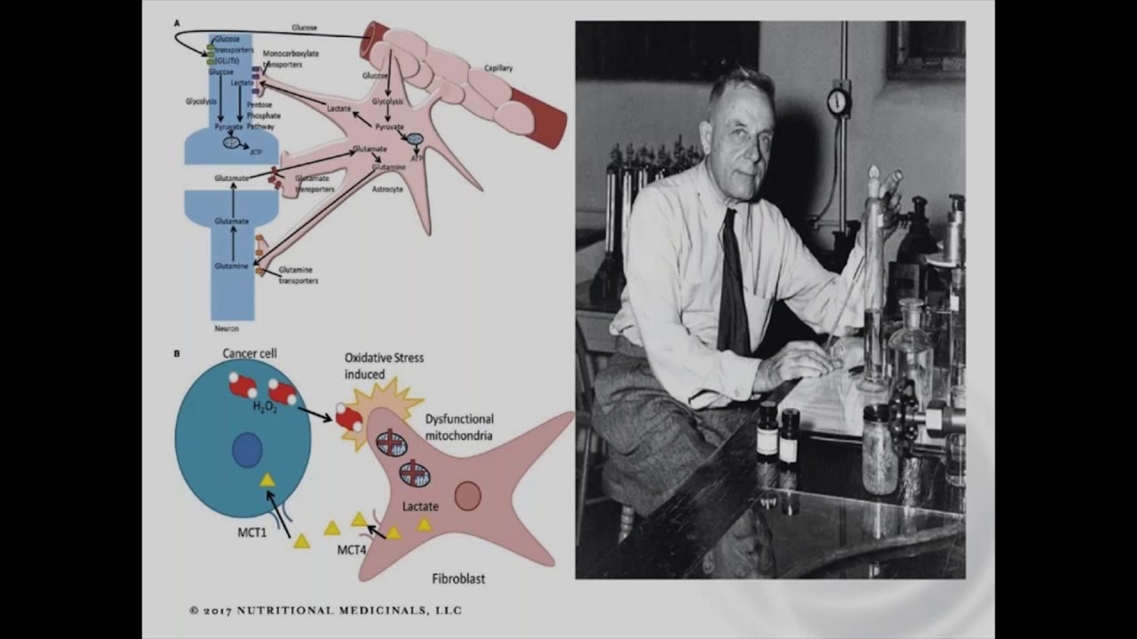 The Crucial Role of Nutrition in Cancer Treatment