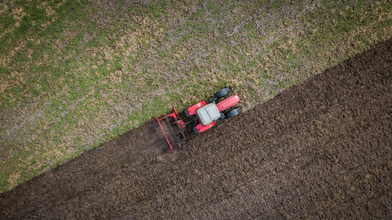Brona talerzowa Ozyrys BT30 / DISC HARROW