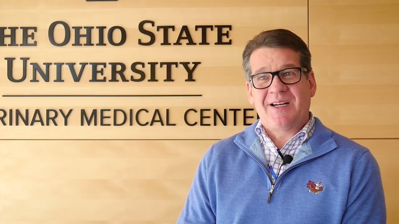 Tod Beckett, DVM '89: Small Animal Medicine and Surgery