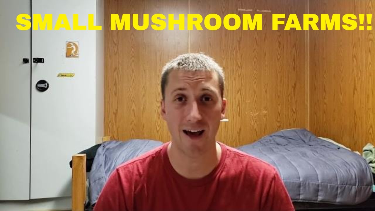 Why Small Gourmet Mushroom Farms are BETTER!!!