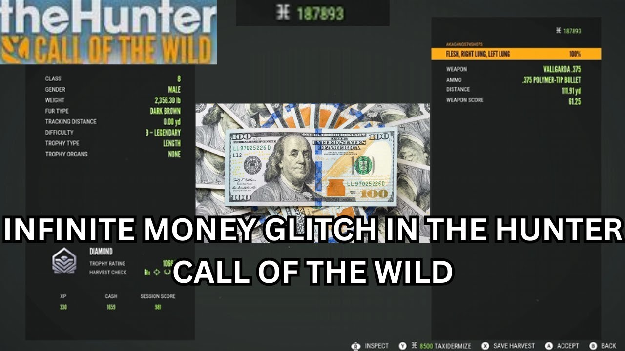 Infinite Money Glitch In The Hunter Call Of The Wild
