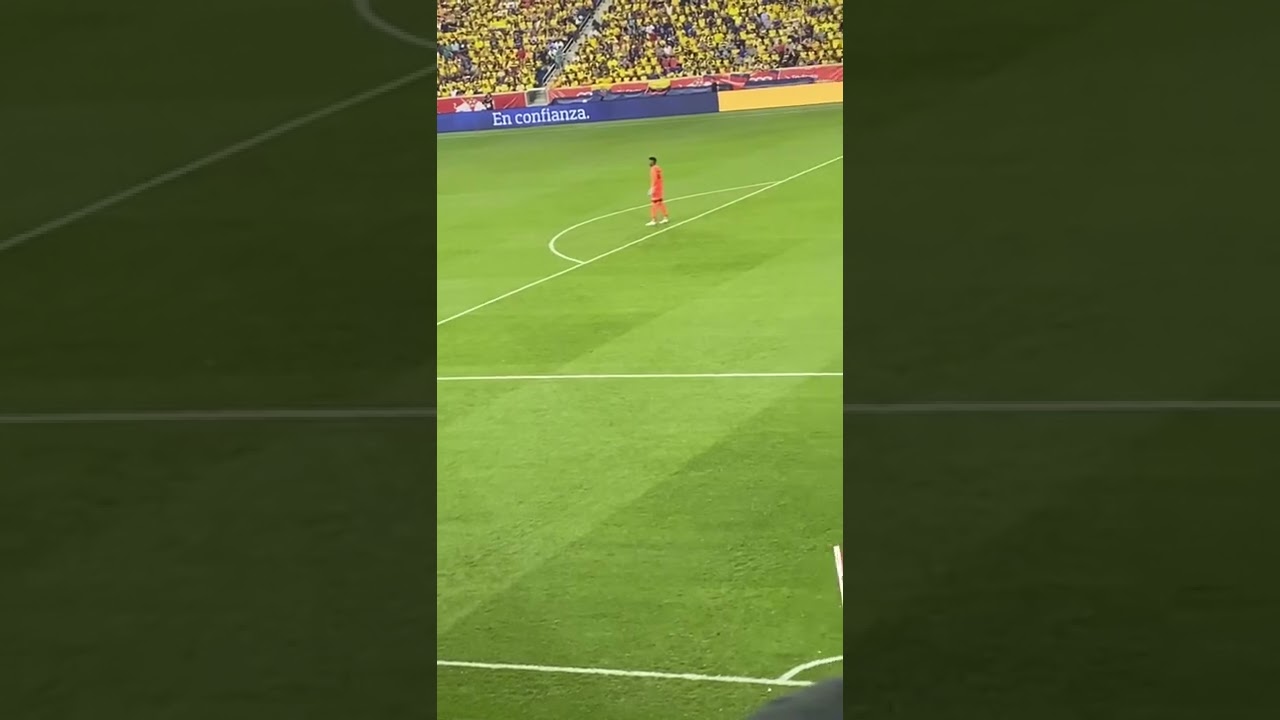 Ecuador vs Nigeria RB Arena