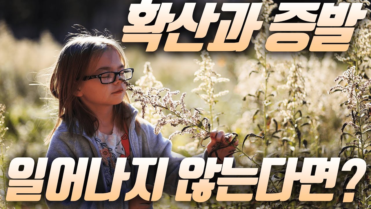 확산과 증발 현상이 일어나지 않는다면? /입자의 운동/확산과 증발/브라운 운동/