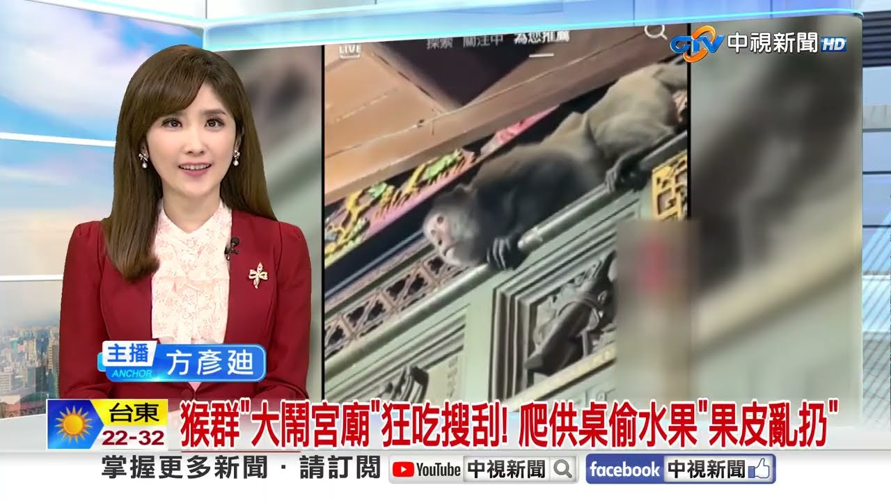 猴群
